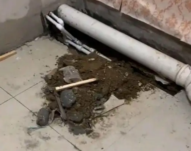 甘南卫生间漏水检测哪家好